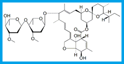 IVERMECTIN B1A / AVERMECTIN B1A DIHYDRO ANALOG